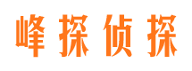 遂溪侦探